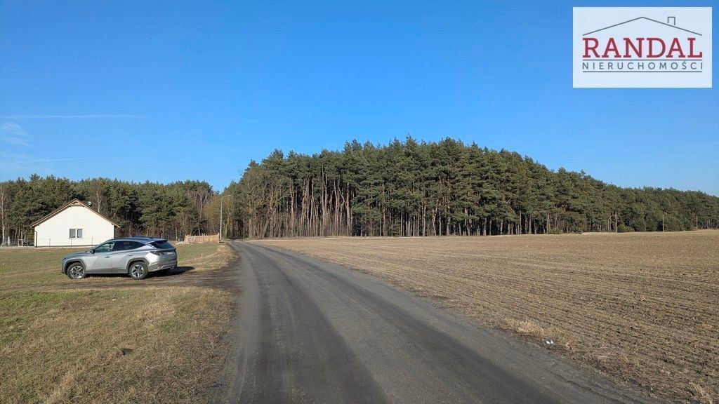 działka w blisko lasów - Widok 2