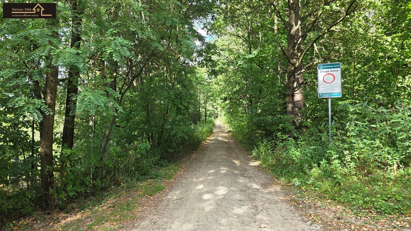 Widokowa, przy lesie, uzbrojona działka budowlana - Widok 5