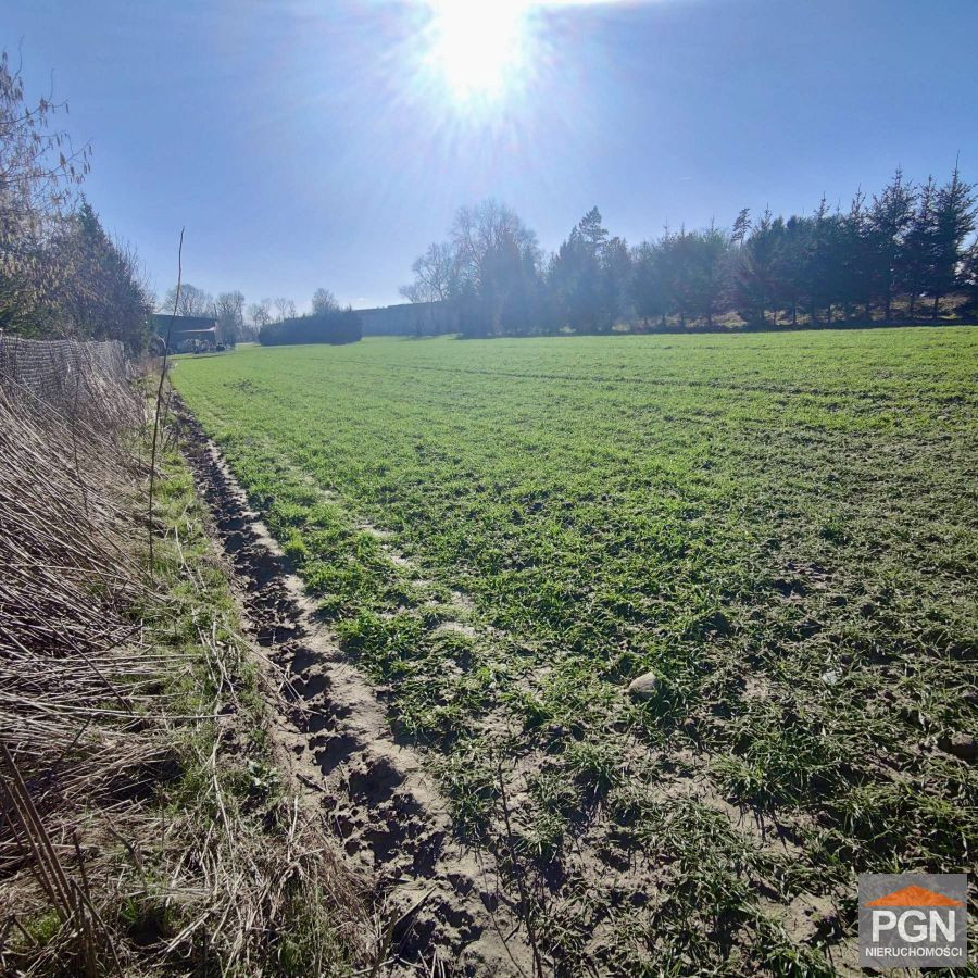 Działka rolna we wsi 4 km od morza - Widok 2