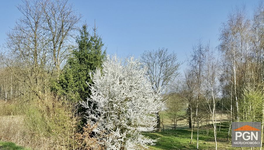 Działka budowlana 1633 m² Gryfice okolica - Widok 4