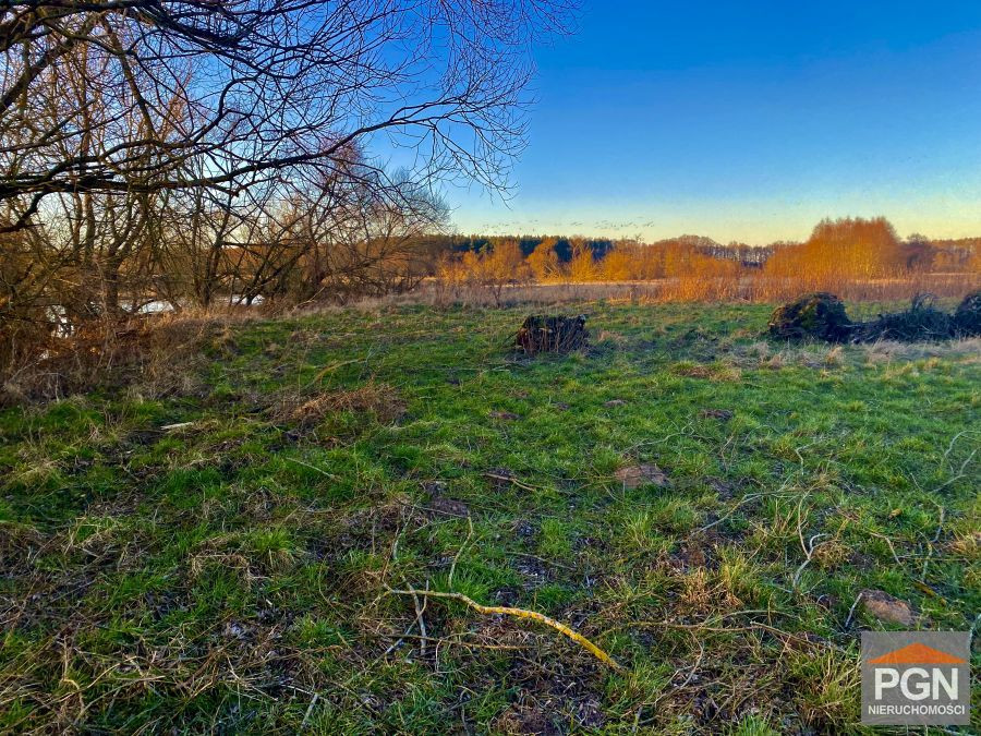 Działka rolna, 3000 m² w okolicy Gryfic - Widok 2