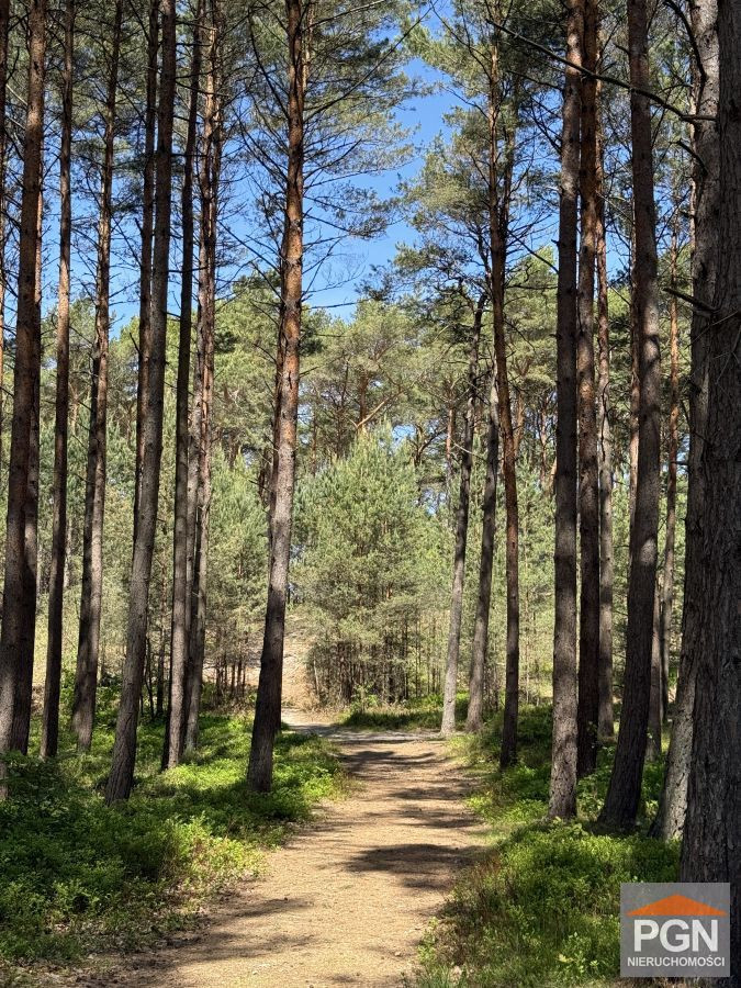 Działka Budowlana, 480m do Morza. Mrzeżyno - Widok 3