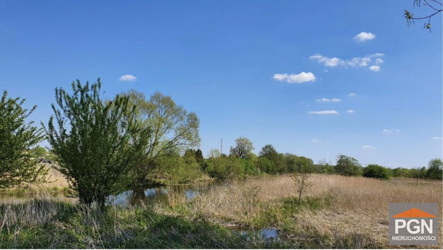 Duża Działka Z Dostępem Do Rzeki - Widok 4