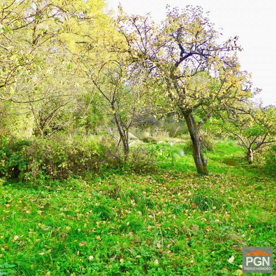 Działka Rolno-Budowlana, 3 km od miejscowości Płot - Widok 5
