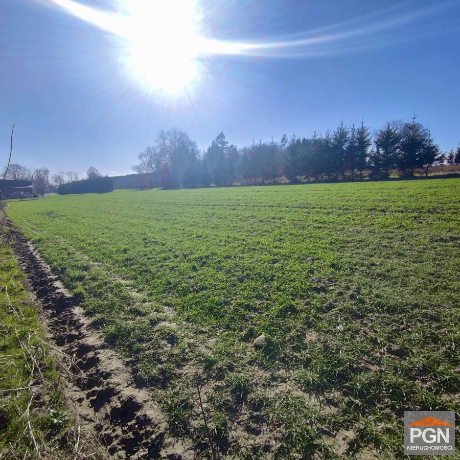 Działka rolna we wsi 4 km od morza - Widok 3