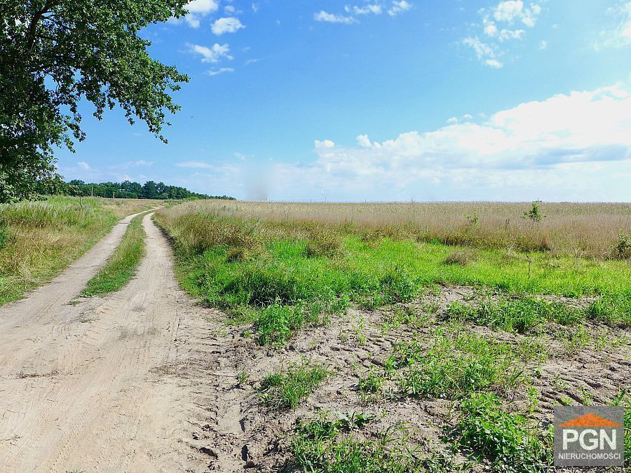 5 km Od Morza, Ładna, Spokojna, Okolica - Widok 4