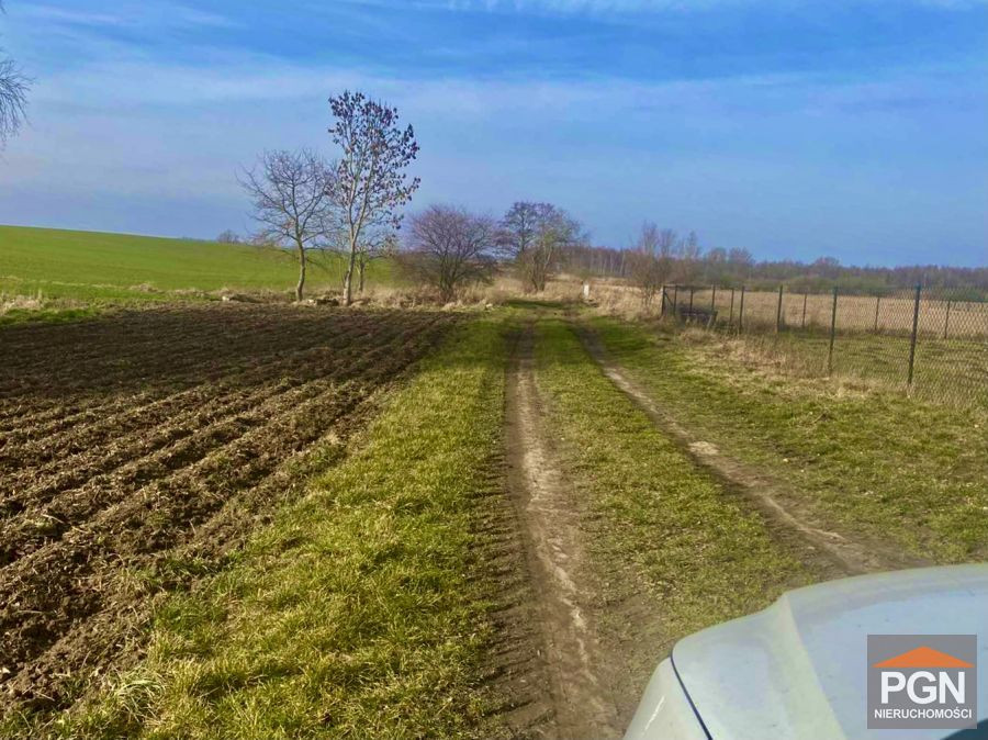 Duża Działka Rolna - Widok 2