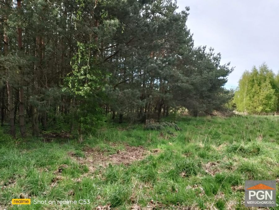 Przyrodniczy Raj: Działka 4490 m² w Malowniczej Oko - Więcej
