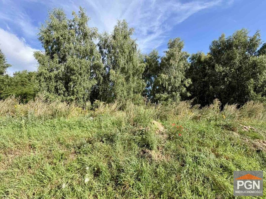 Działka Budowlana 1825 m² - Widok 3