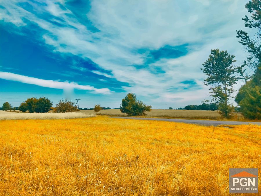 Działka Rolno-Budowlana, 3 km od miejscowości Płot - Widok 4