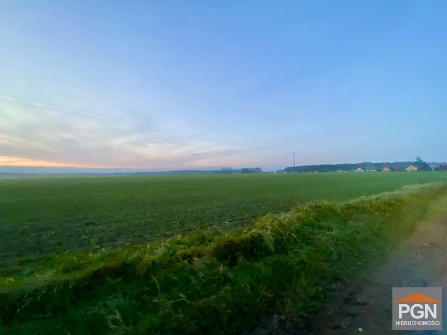 Działka 1710 m², Blisko Miasta - Widok 2