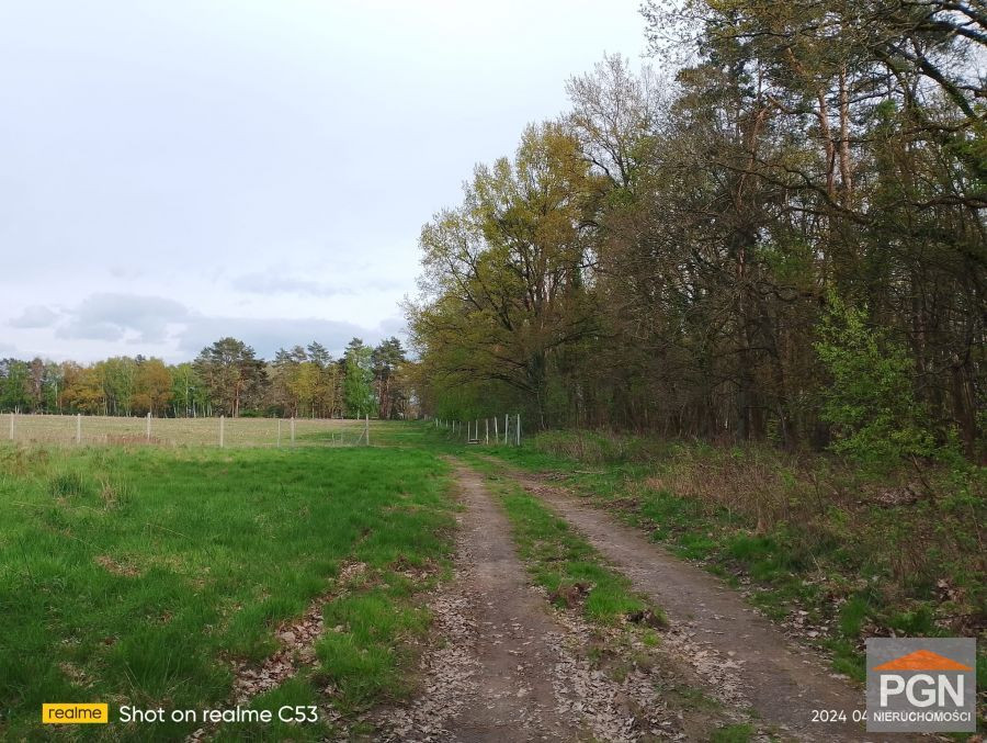 Przyrodniczy Raj: Działka 4490 m² w Malowniczej Oko - Widok 5