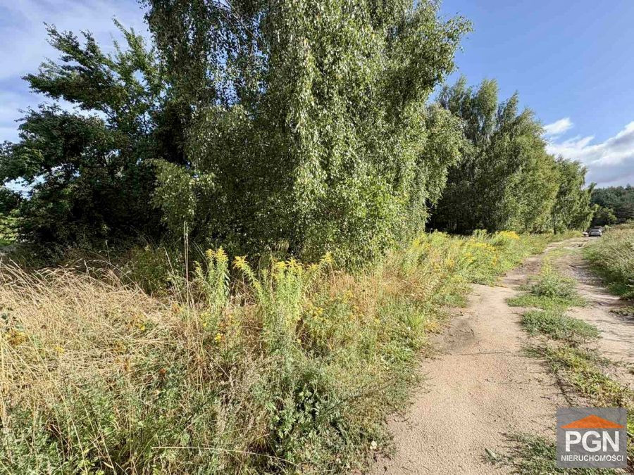 Działka Budowlana 1825 m² - Widok 5