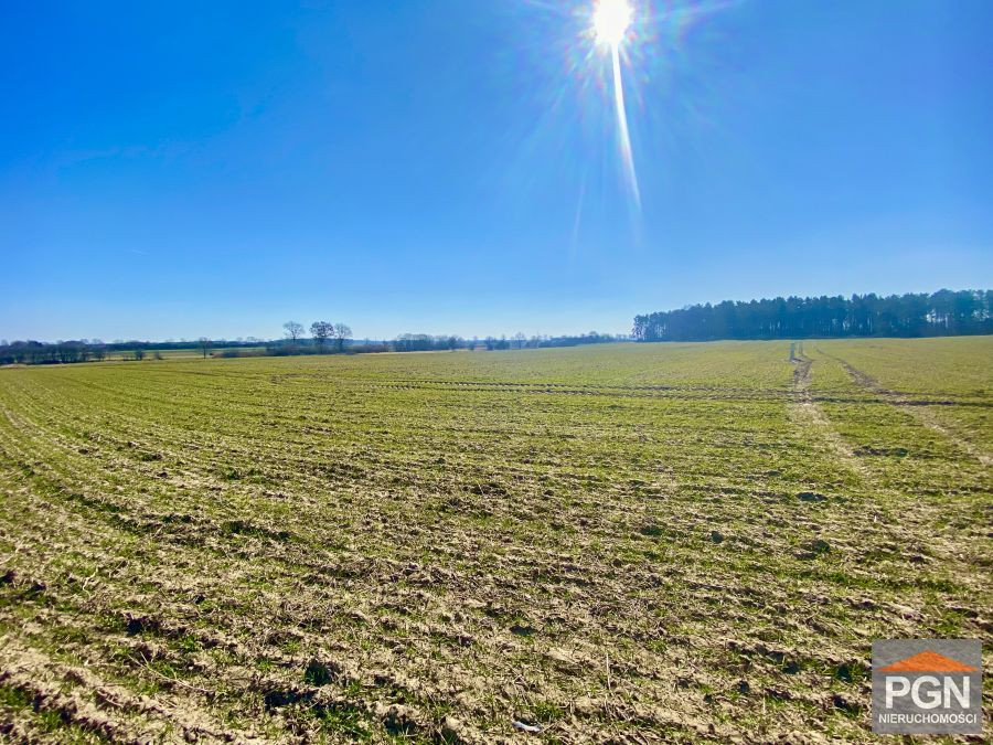 Działka rolna, Gryfice - Widok 2