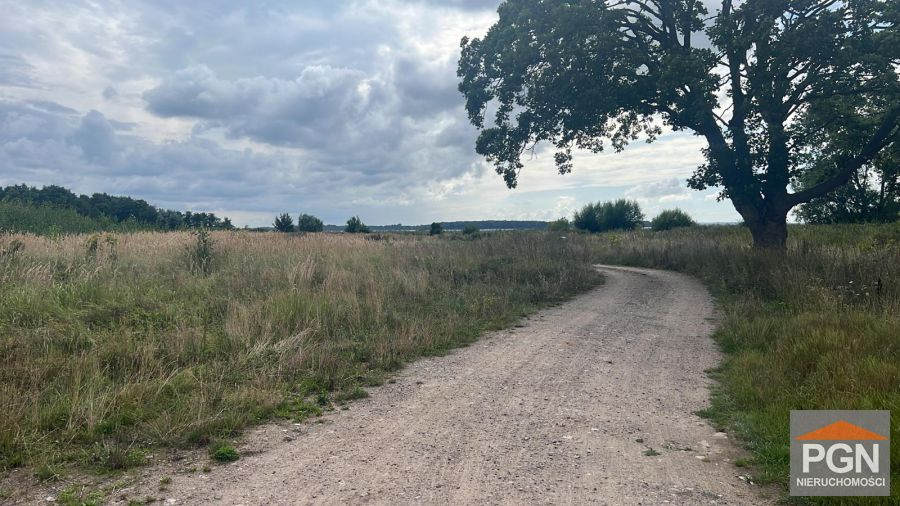 Działka w Kamieniu Pomorskim z Pozwoleniem na Budo - Widok 5