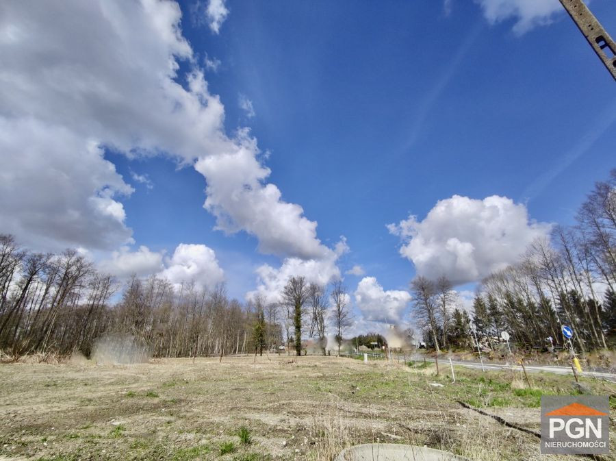 Działka okolica Wolina 260 m od rzeki Dziwnej - Widok 2