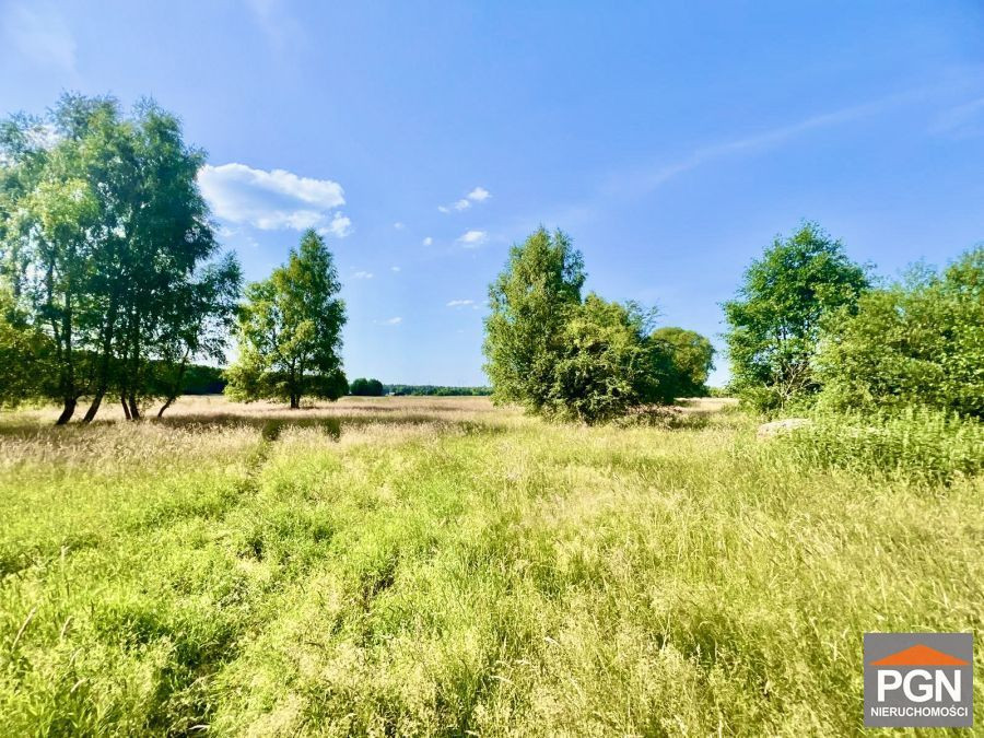 Duża działka położona 7 km od Pobierowa, blisko la - Widok 4