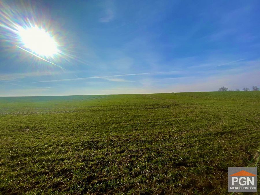 Duża Działka Rolna - Widok 4