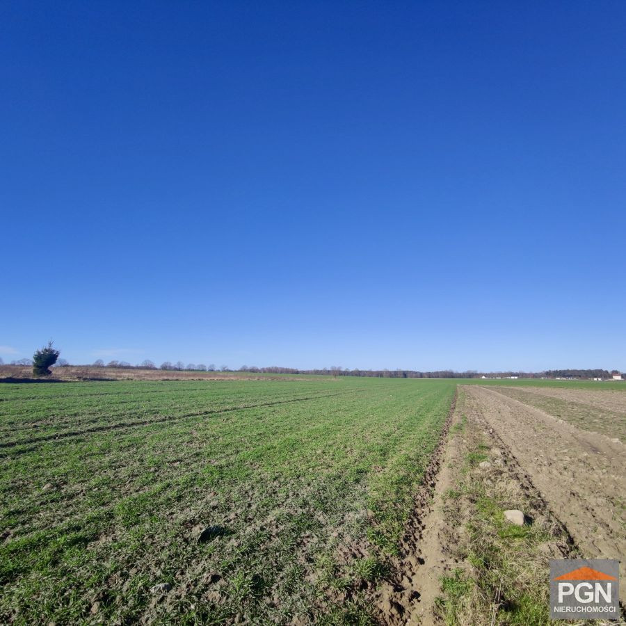 Działka rolna we wsi 4 km od morza - Widok 5