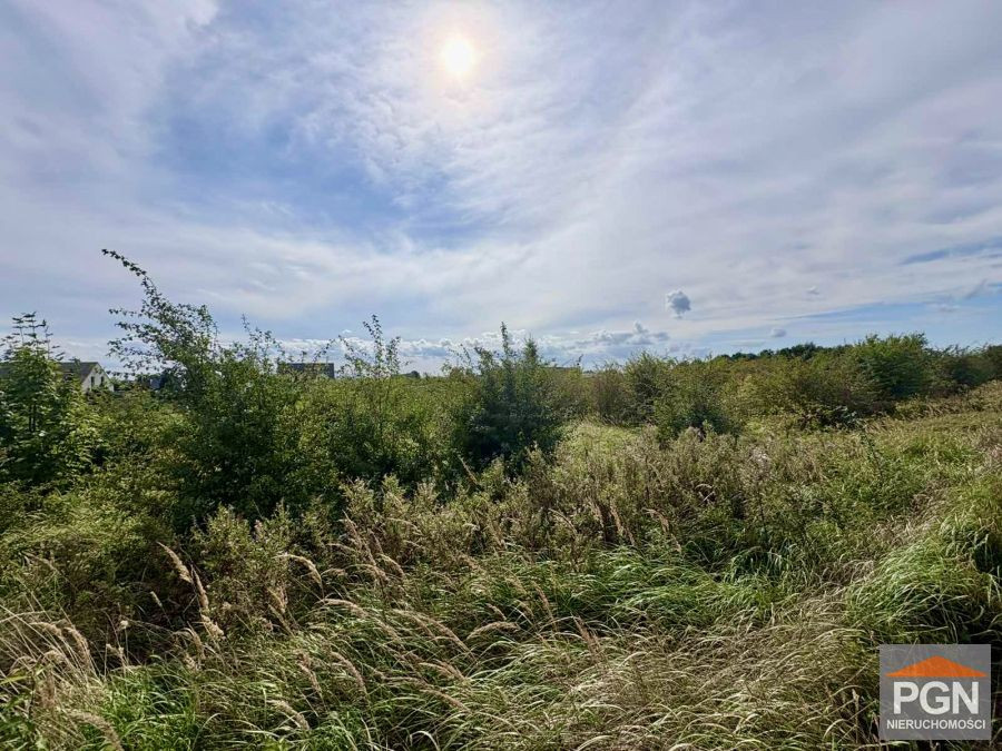 ATRAKCYJNA DZIAŁKA W NIECHORZU – 4 950 m² - Widok 3