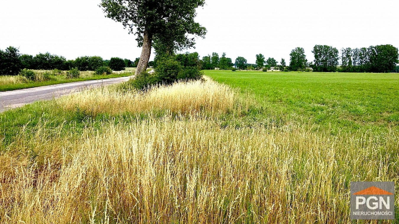 Działki budowlane Zielona Okolica 8 km od Morza - Widok 2