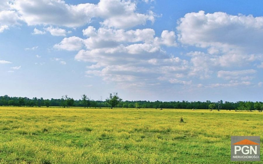 Działka Budowlana Z Widokiem Na Latarnię Morską - Widok 2