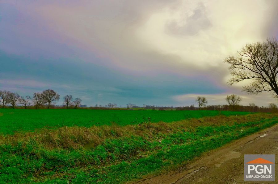 Działka Budowlana w Gryficach - Widok 5