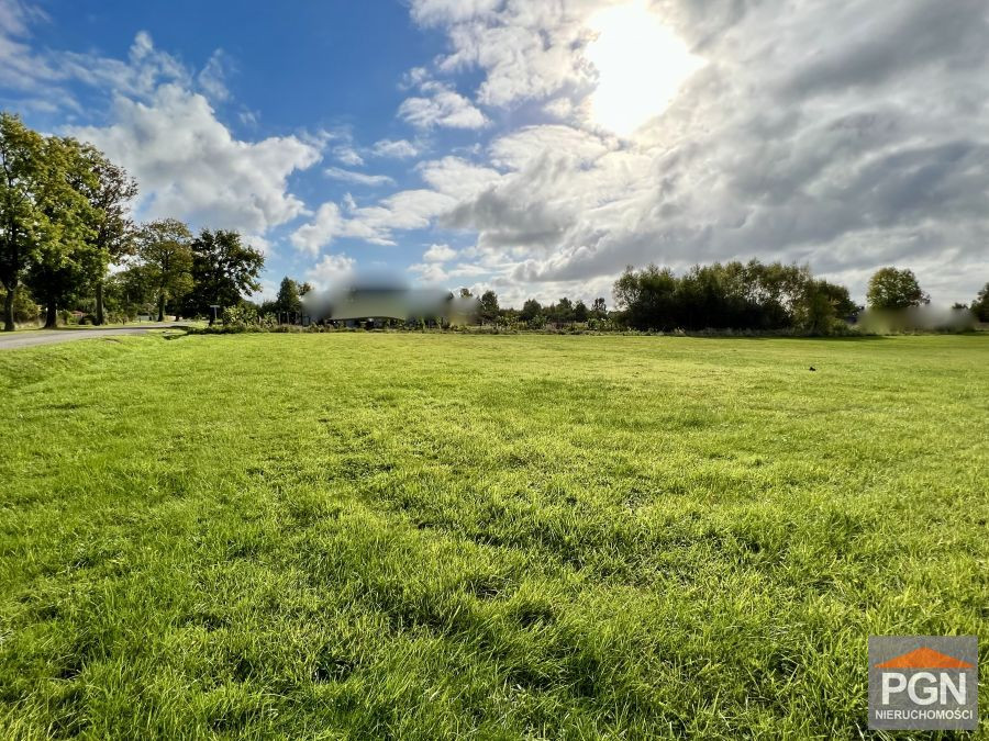 Działka pod budowę domu 2396 m² Ładzin - Widok 5