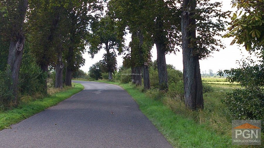 Duża działka Domysłów na sprzedaż - Widok 4