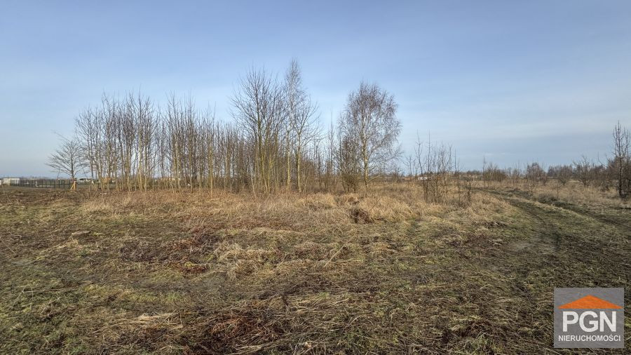 Zielona okolica rzeka dziwna działka na Wyspie - Więcej