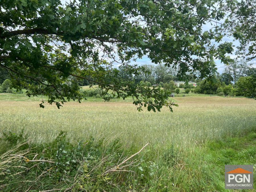 Działka rolna w Ościęcinie - Widok 5