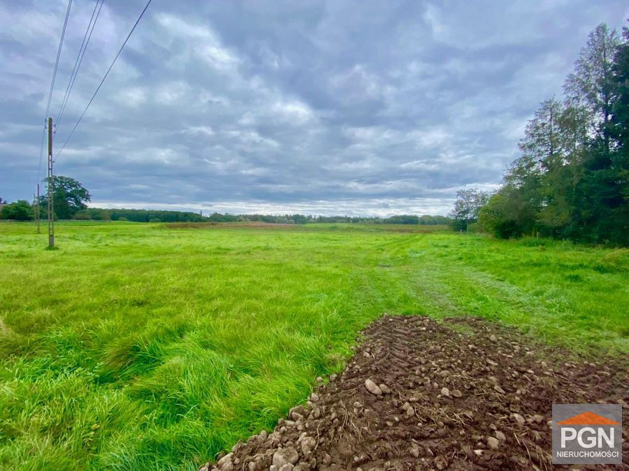Działka Pod Lasem - Widok 4