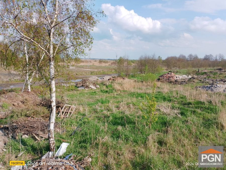 Odkryj swoją Deweloperską Przystań: Początek Twoje - Więcej