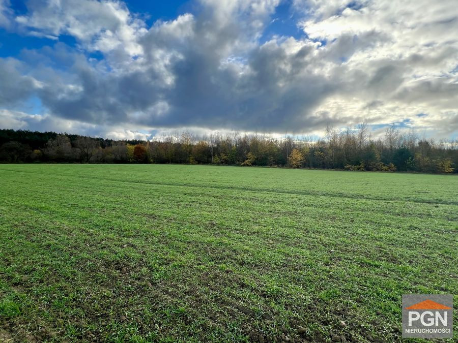 Duża działka nad rzeką Dziwną - Wyspa Wolin - Widok 5