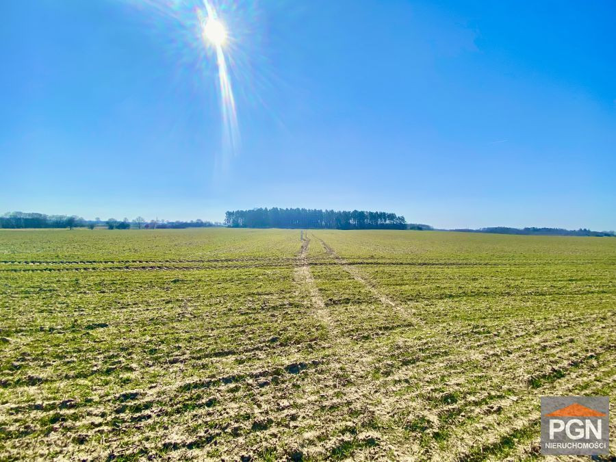 Działka rolna, Gryfice - Widok 5