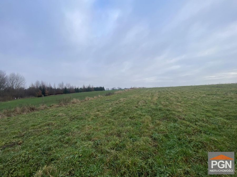 Działka 1326 m² , Blisko Miasta - Widok 4