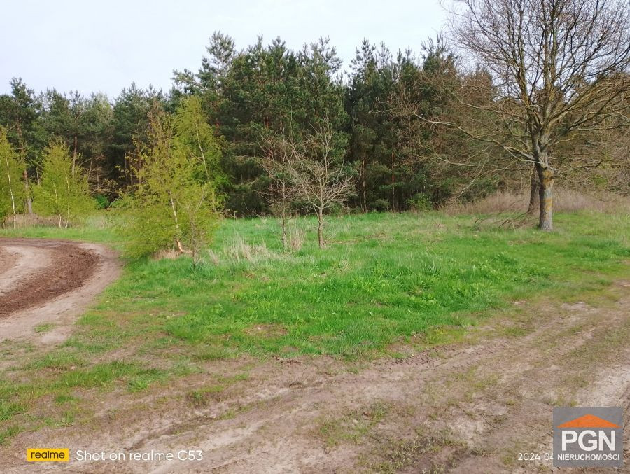 Przyrodniczy Raj: Działka 4490 m² w Malowniczej Oko - Widok 3
