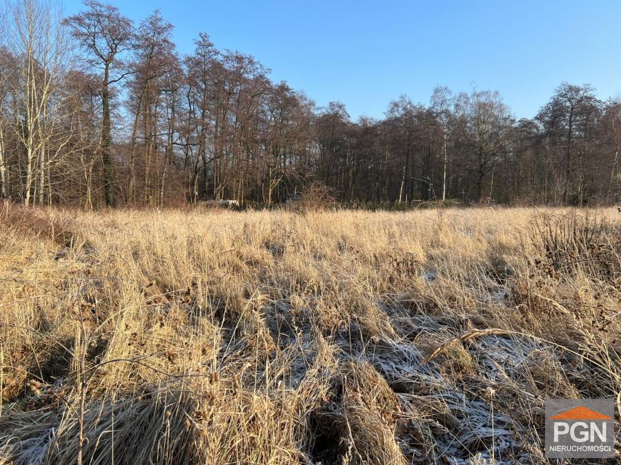 Działka budowlana w Kamieniu Pomorskim , 7 km od D - Widok 5
