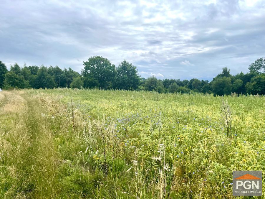 Działka z Wydanymi Warunkami Zabudowy. Gosław., Ok - Widok 4