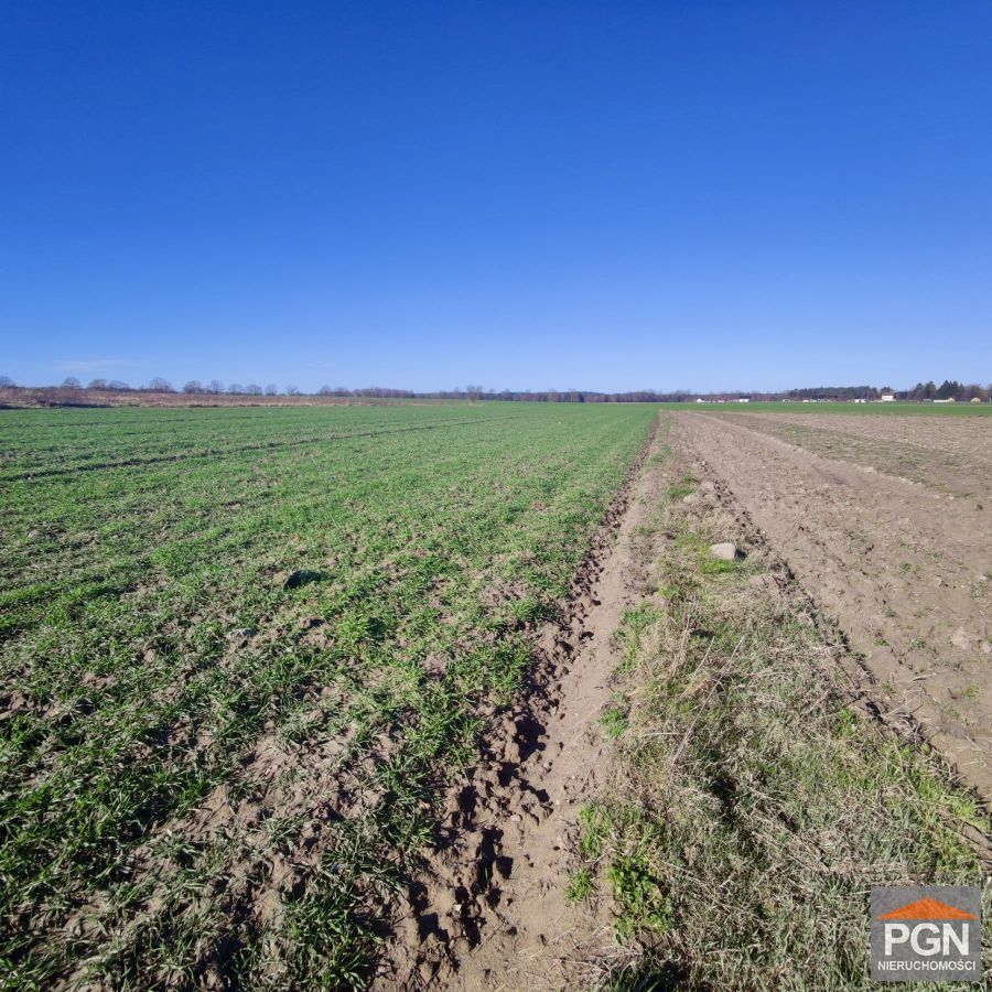 Działka rolna we wsi 4 km od morza - Widok 4