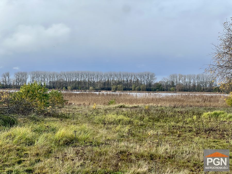 Duża działka nad rzeką Dziwną - Wyspa Wolin - Widok 3