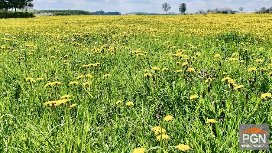 Działka budowlana 1633 m² Gryfice okolica - Więcej