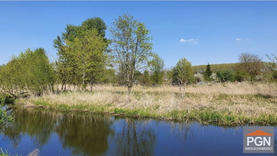 Duża Działka Z Dostępem Do Rzeki - Widok 5