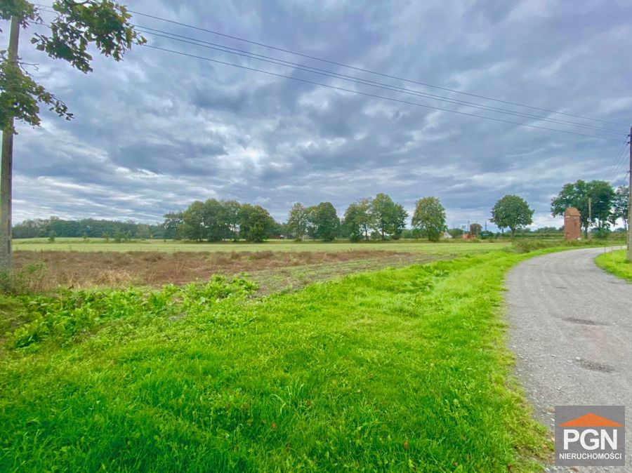 Działka Pod Lasem - Widok 2