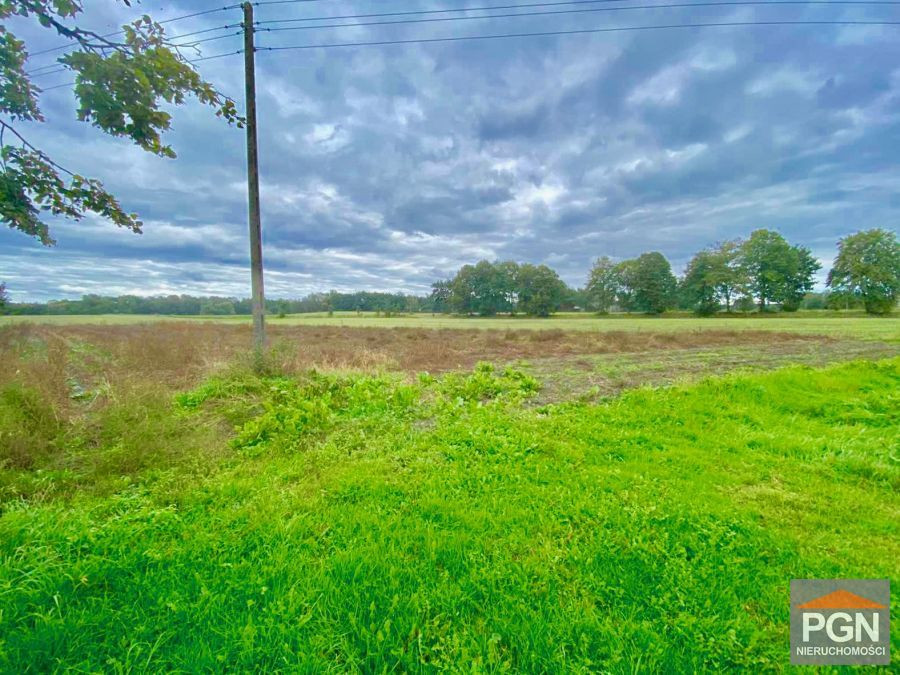 Działka Pod Lasem - Widok 5