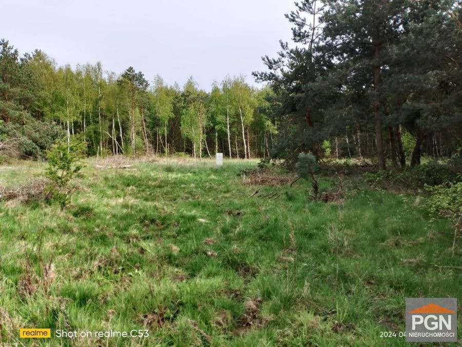 Działka o Powierzchni 4490 m² w Spokojnej Okolicy z - Widok 3
