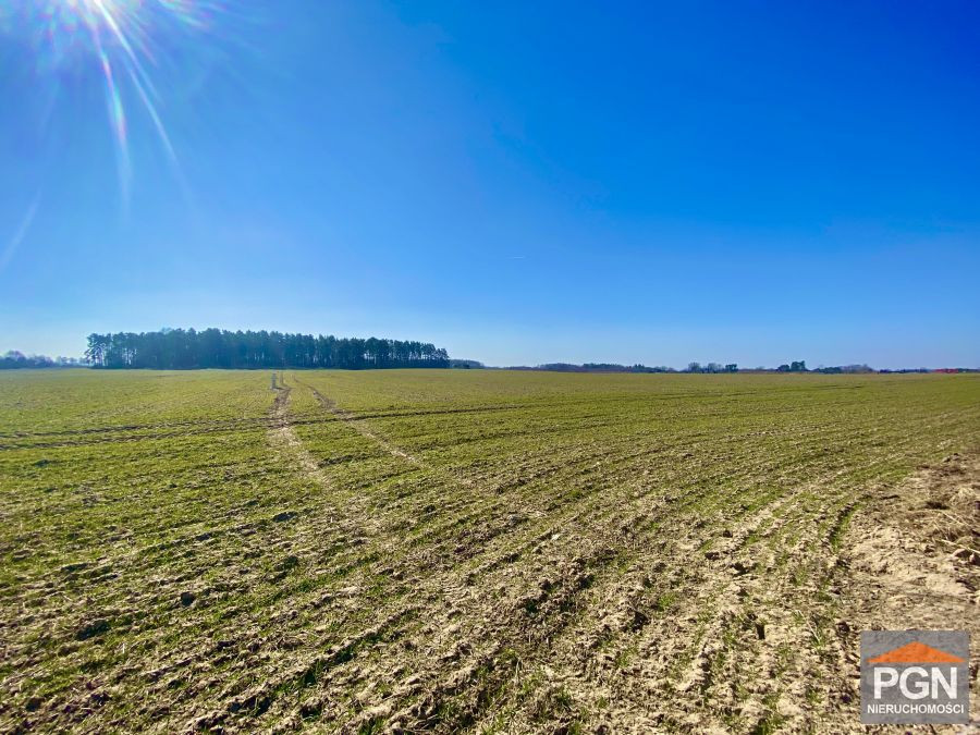 Działka rolna, Gryfice - Widok 3
