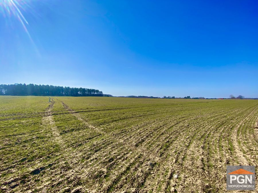Działka rolna, Gryfice - Widok 4