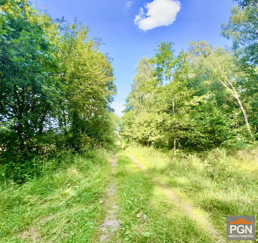 Działka Budowlana 7 kilometrów drogi do Pobierowa - Widok 2