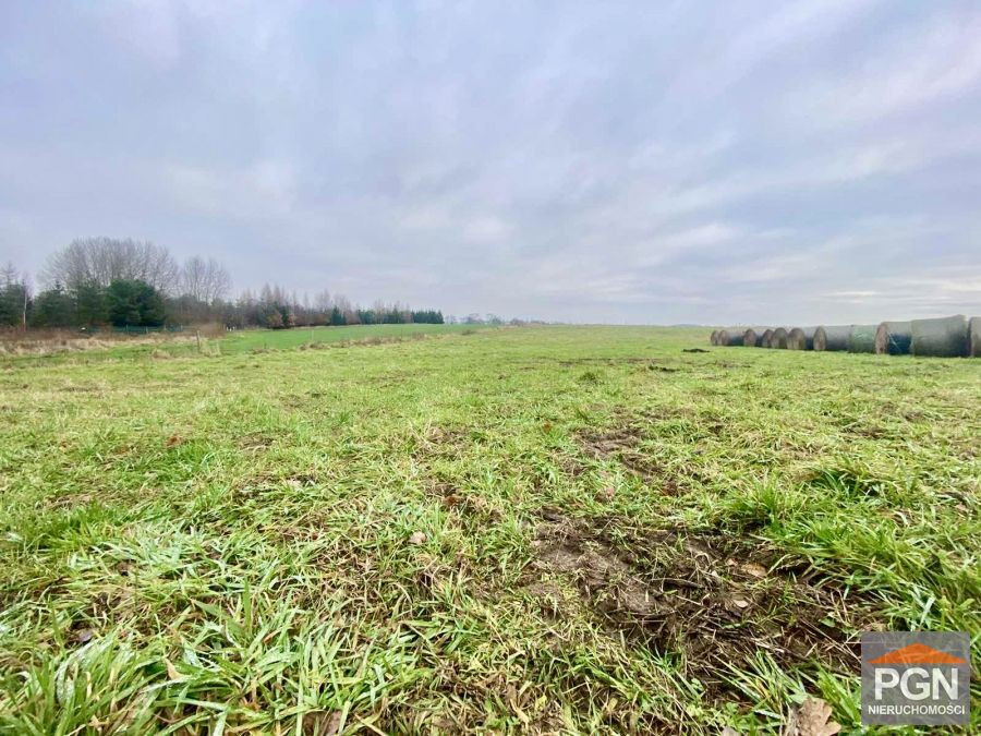 Działka 1326 m² , Blisko Miasta - Widok 5